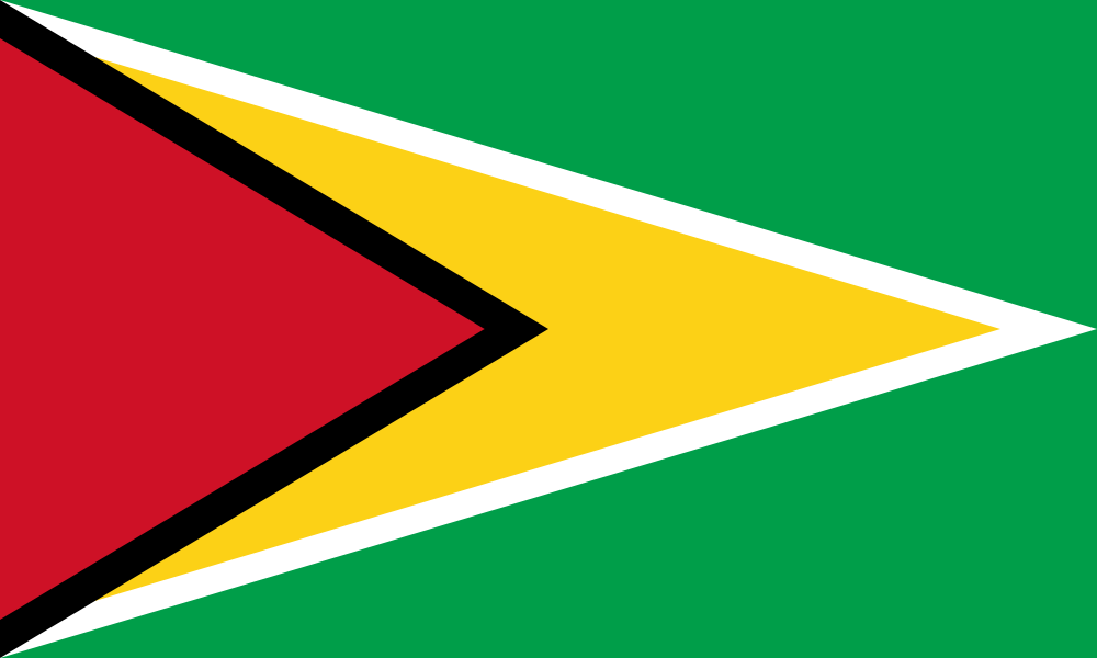 Guyana Flag